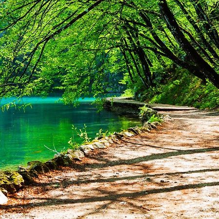 Plitvicka Kuca D - Plitvice Lakes Plitvička Jezera Extérieur photo